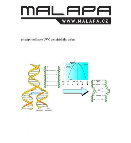 účinek germicidního UVC záření na DNA GV11