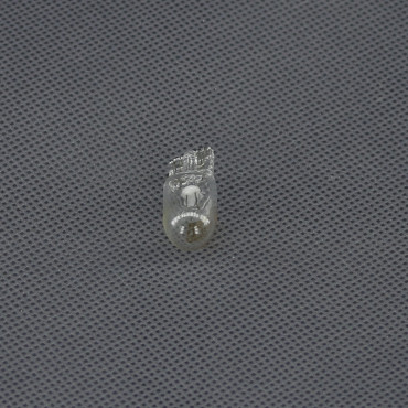 SI501 - žárovka T10, 12 V, 5 W